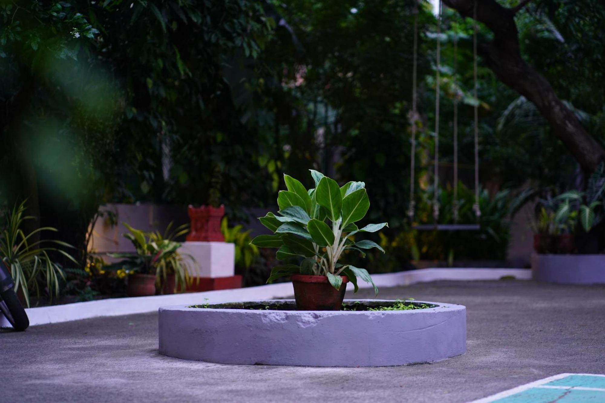 Remasailam Homestay - Thiruvananthapuram , Calm & Blend With Nature Luaran gambar